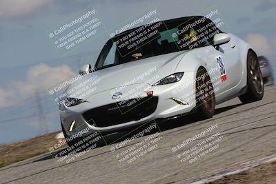 media/Mar-31-2024-Speed Ventures (Sun) [[a3b2bf813d]]/Purple/Session 2 (Grapevine)/